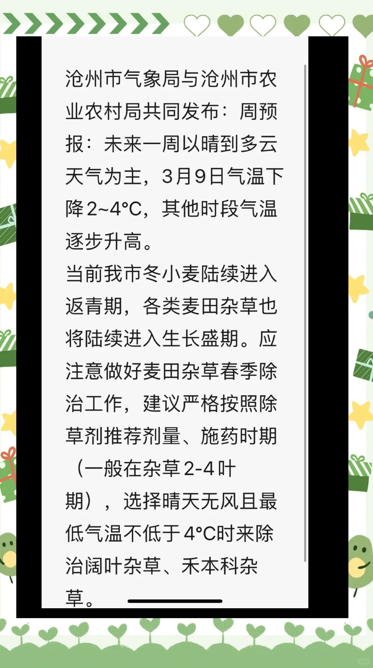 沧州天气预报(沧州天气预报15天)