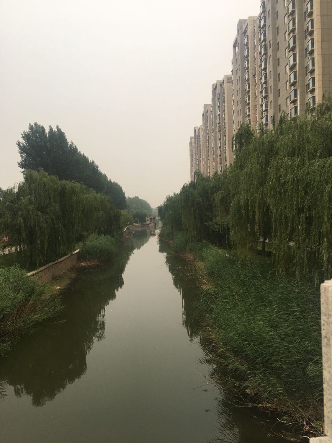 山东省德州市天气(山东省德州市天气情况)