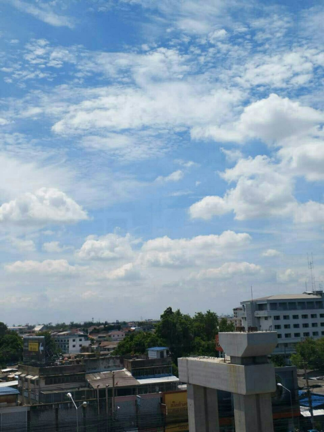 山东省青岛市天气(山东省青岛市天气预报15天)