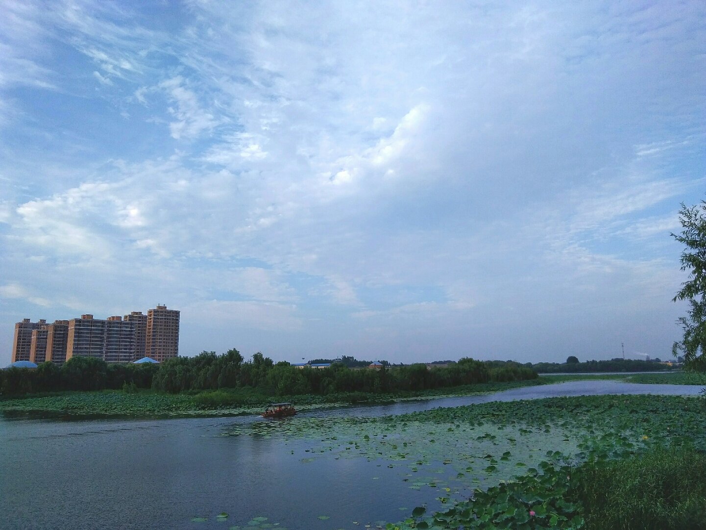 滦南天气预报(明天滦南天气预报)