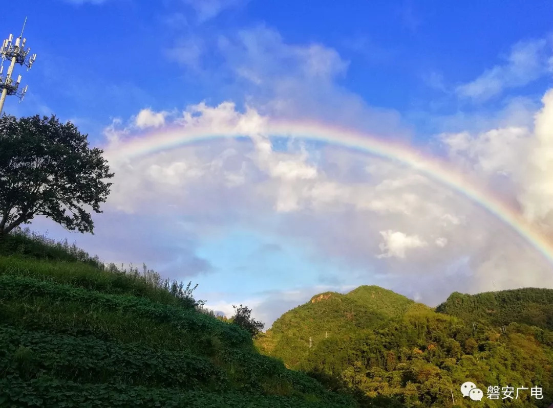 磐安天气(磐安天气预报15天查询结果)