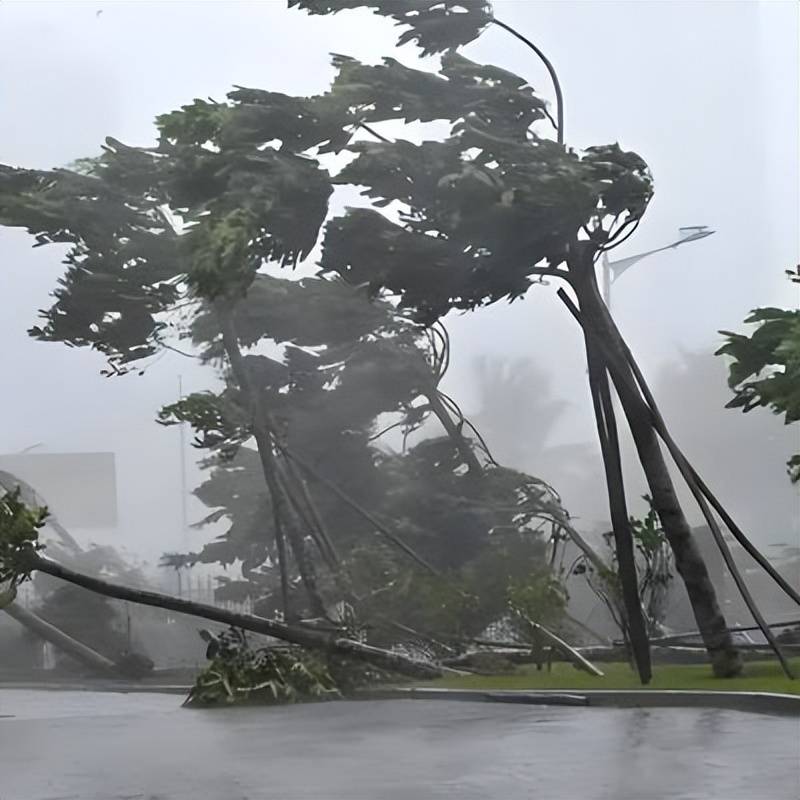 森拉克台风(森拉克台风登陆福建)