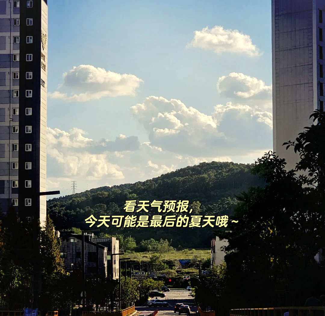 首尔天气预报(首尔天气预报15天查询)