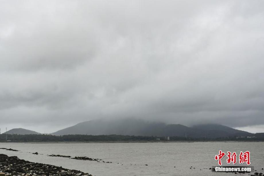 台风鹦鹉登陆广东(台风鹦鹉登陆广东哪里)