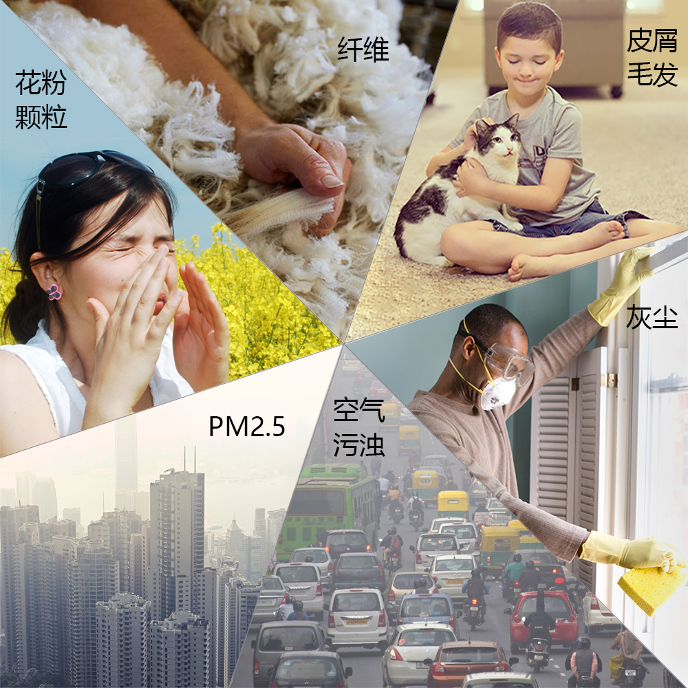 厦门pm2.5(pm25数值多少为正常)