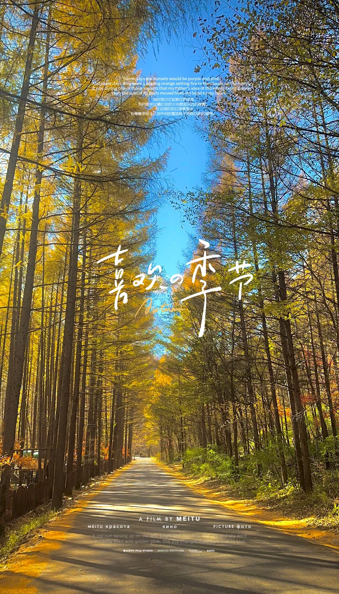 本溪天气(本溪天气预报一个月30天查询)