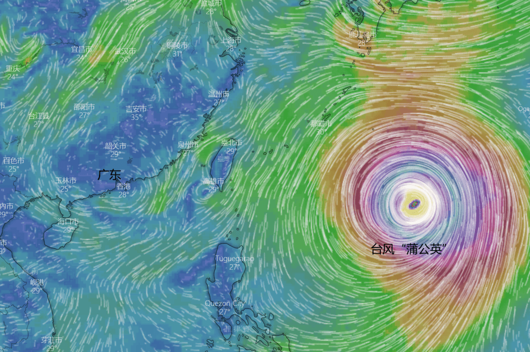 台风电母(台风电母多少级)