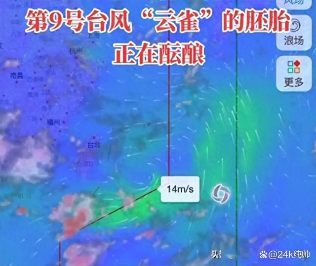 台风云雀最新消息(台风云雀最新消息今日头条)