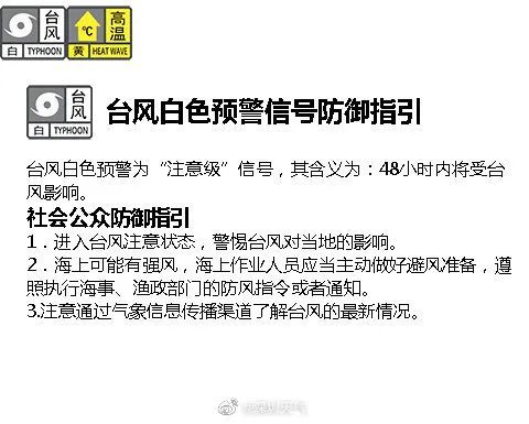 台风鹦鹉最新消息(台风鹦鹉会在哪里登陆)