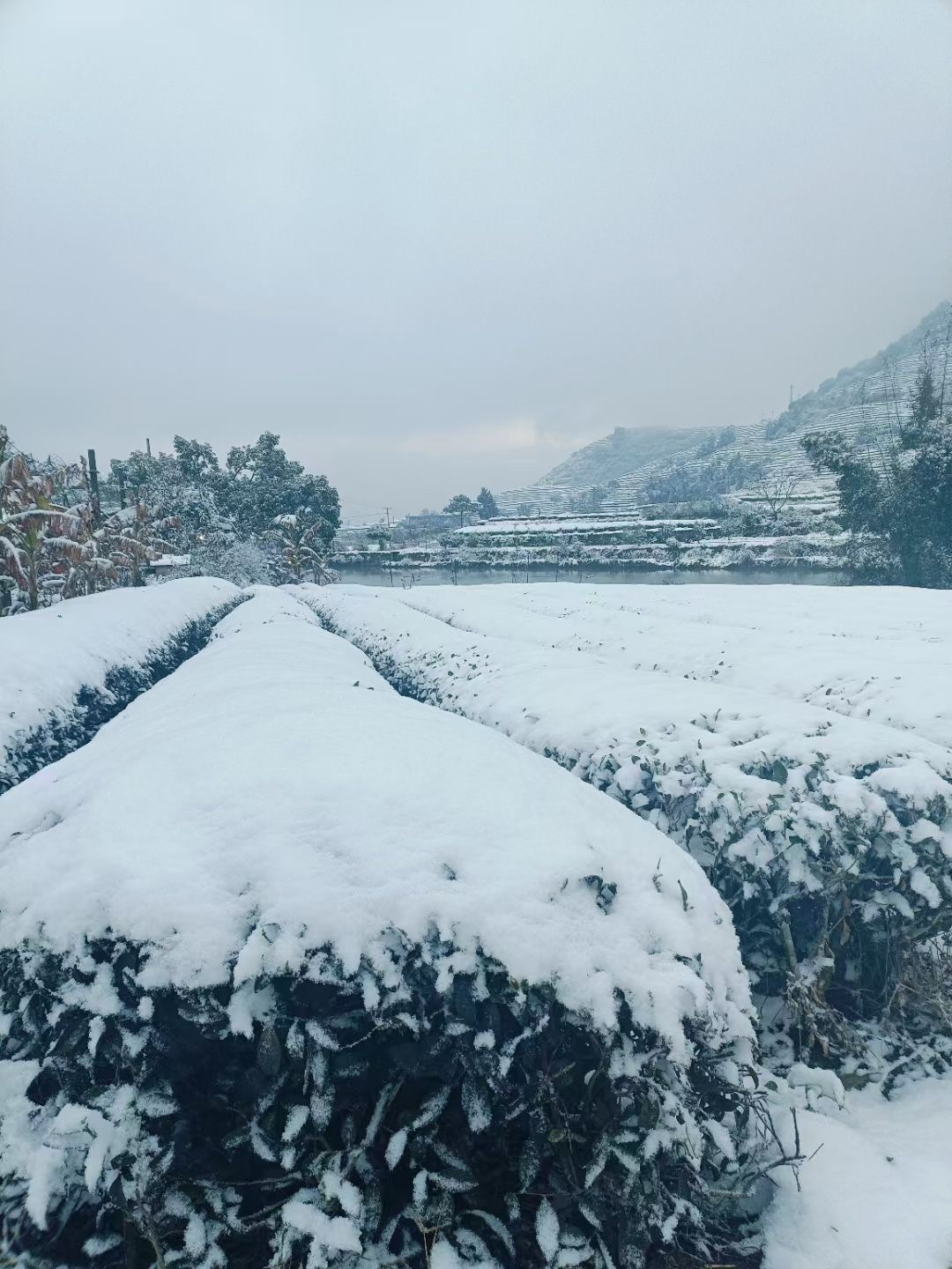 福鼎天气(福鼎天气60天准确)