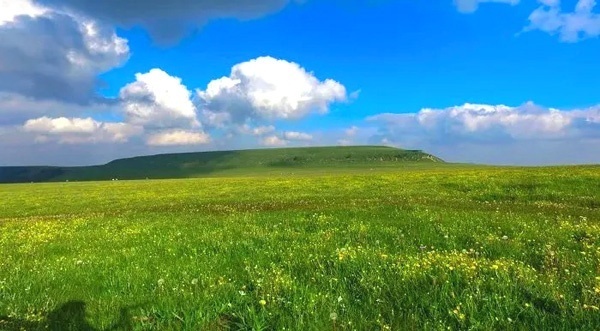 山西五寨(山西五寨县有多少人口)