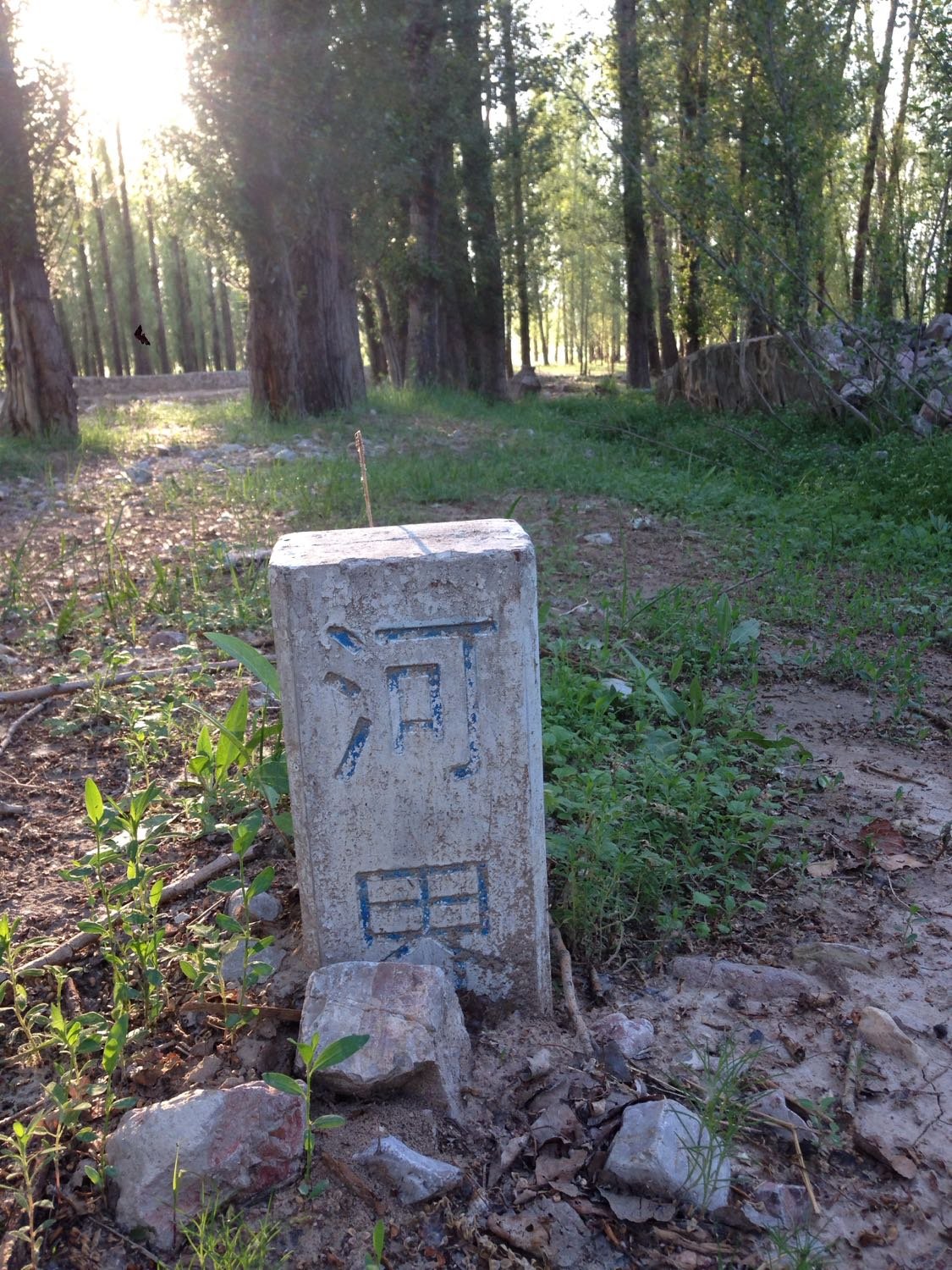 阳原天气预报(阳原天气预报7天)