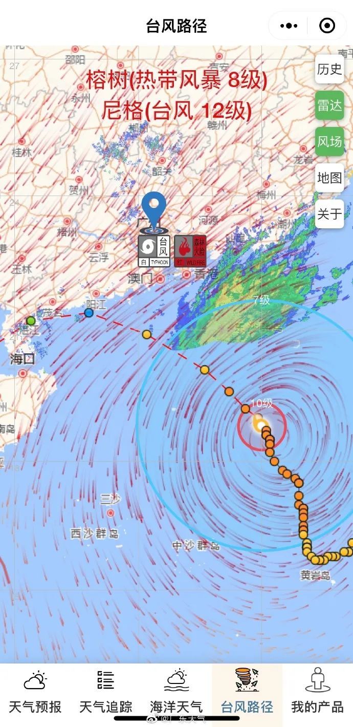 中国台风网实时路径(2025年第1号台风)