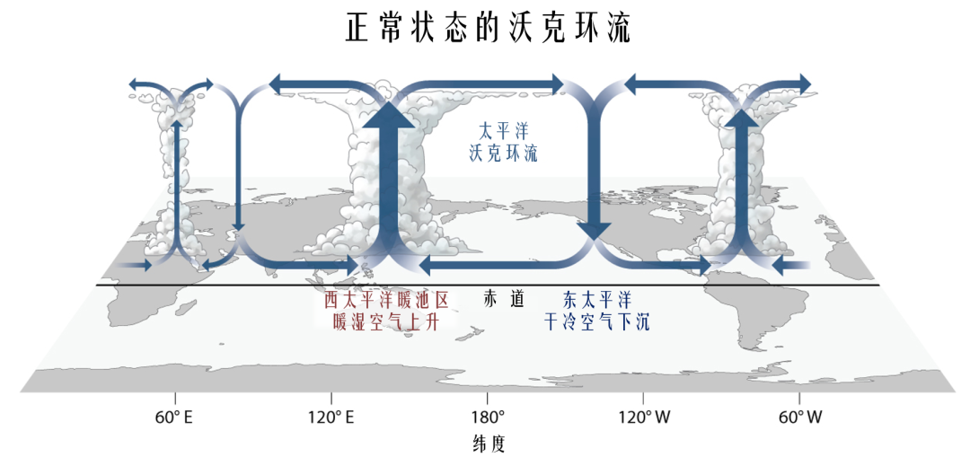 厄尔尼诺与拉尼娜(厄尔尼诺与拉尼娜有关吗)