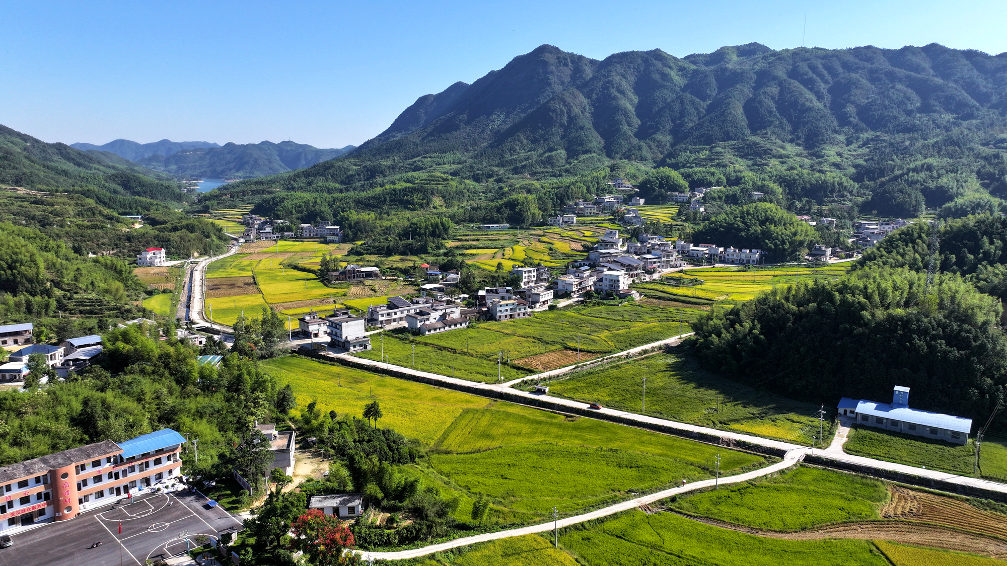 湖北通城天气(通城县副县长被查)