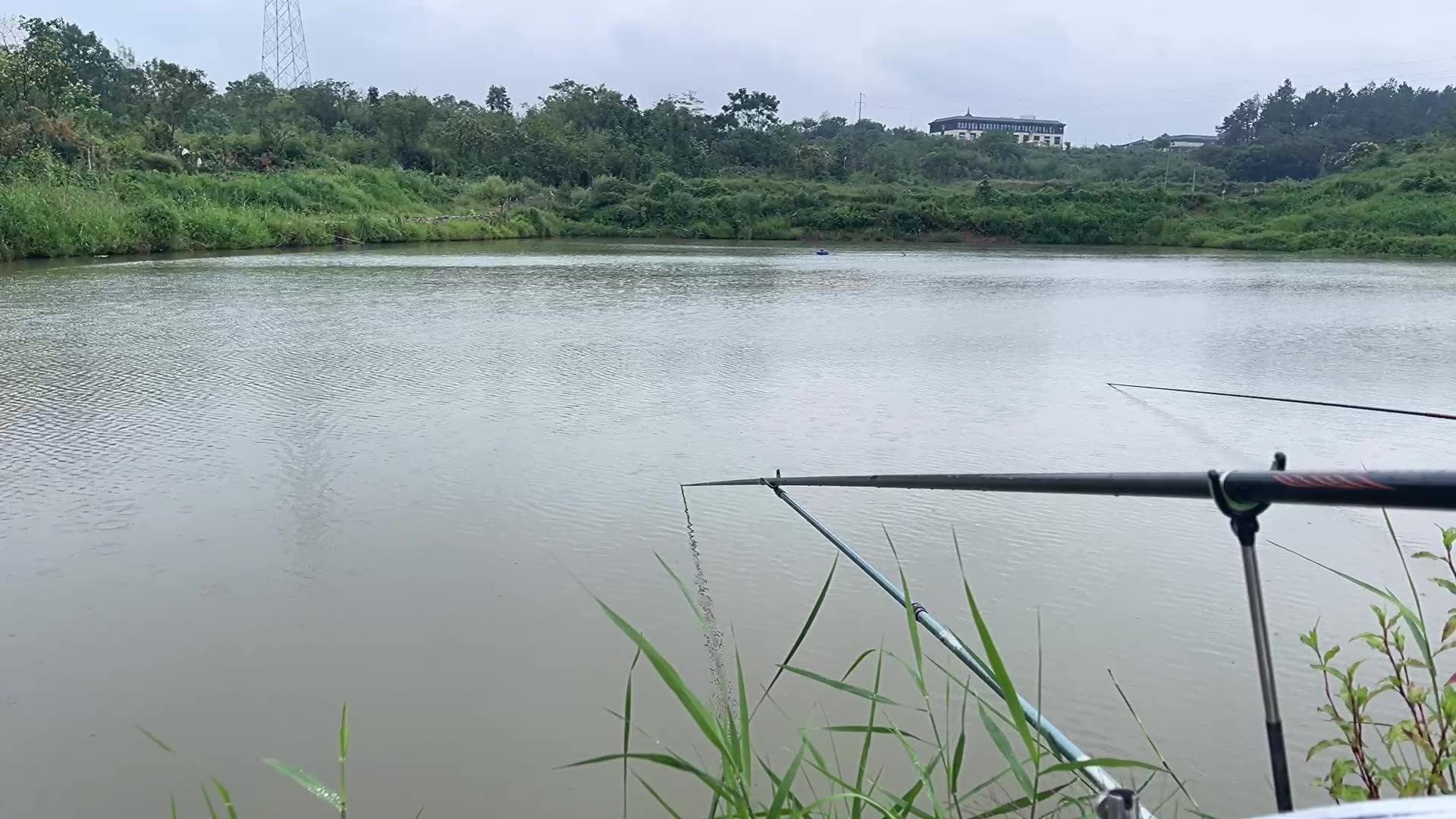 池州钓鱼论坛(池州钓鱼论坛招聘)