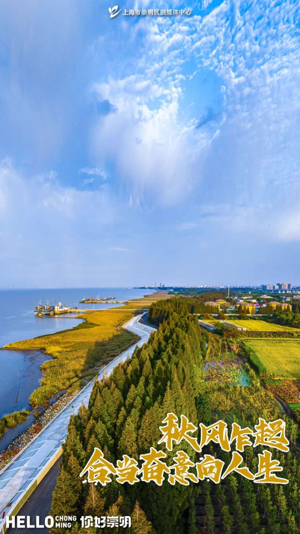 崇明天气预报(崇明天气预报一周)