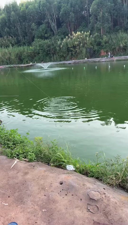 南宁钓鱼网(南宁钓鱼收费的地方)