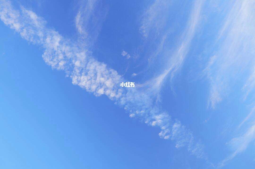 最近天气很不错(最近天气很不错是什么歌)