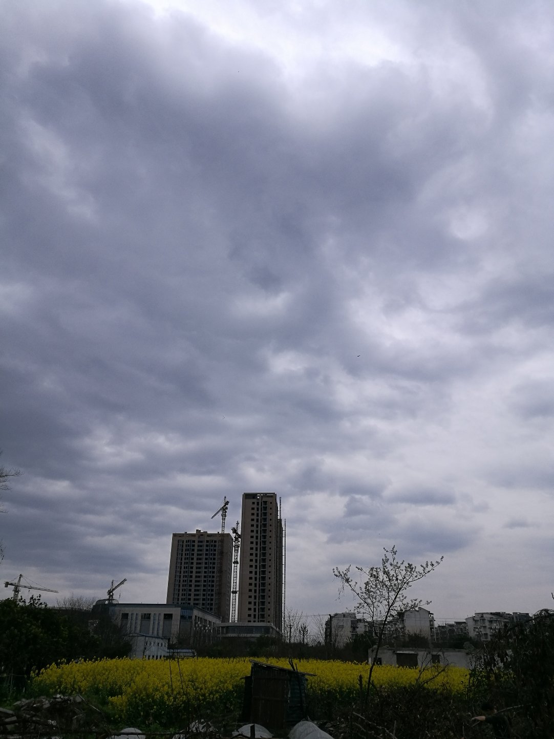 德阳什邡天气(四川中江第一美人)