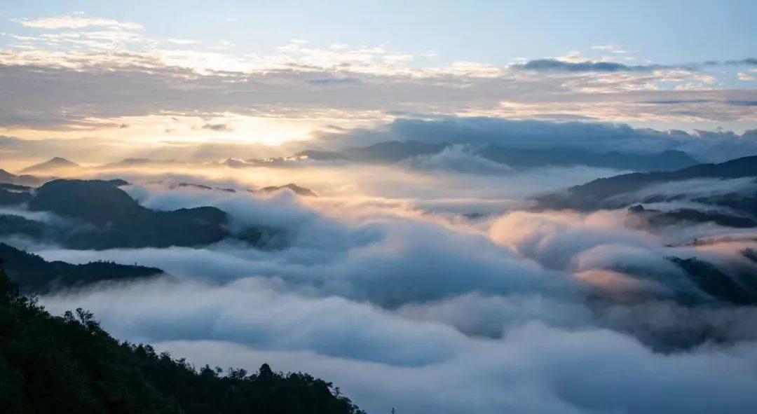 泰顺天气2345(珲春2345天气预报)