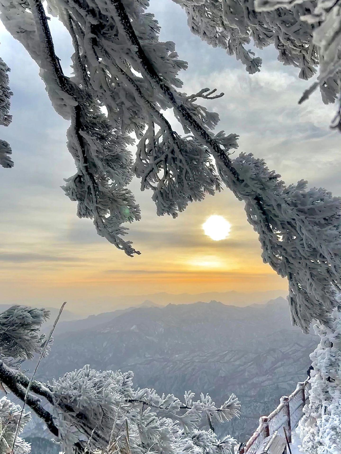 栾川天气预报(栾川旅游3天最佳路线)