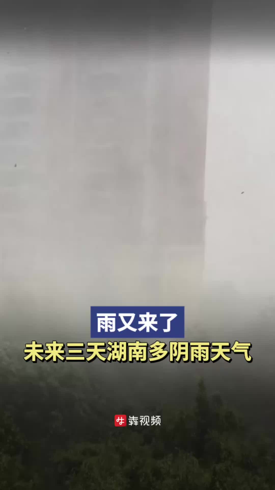 雨持续在线咋回事(雨一直在下是什么意思)