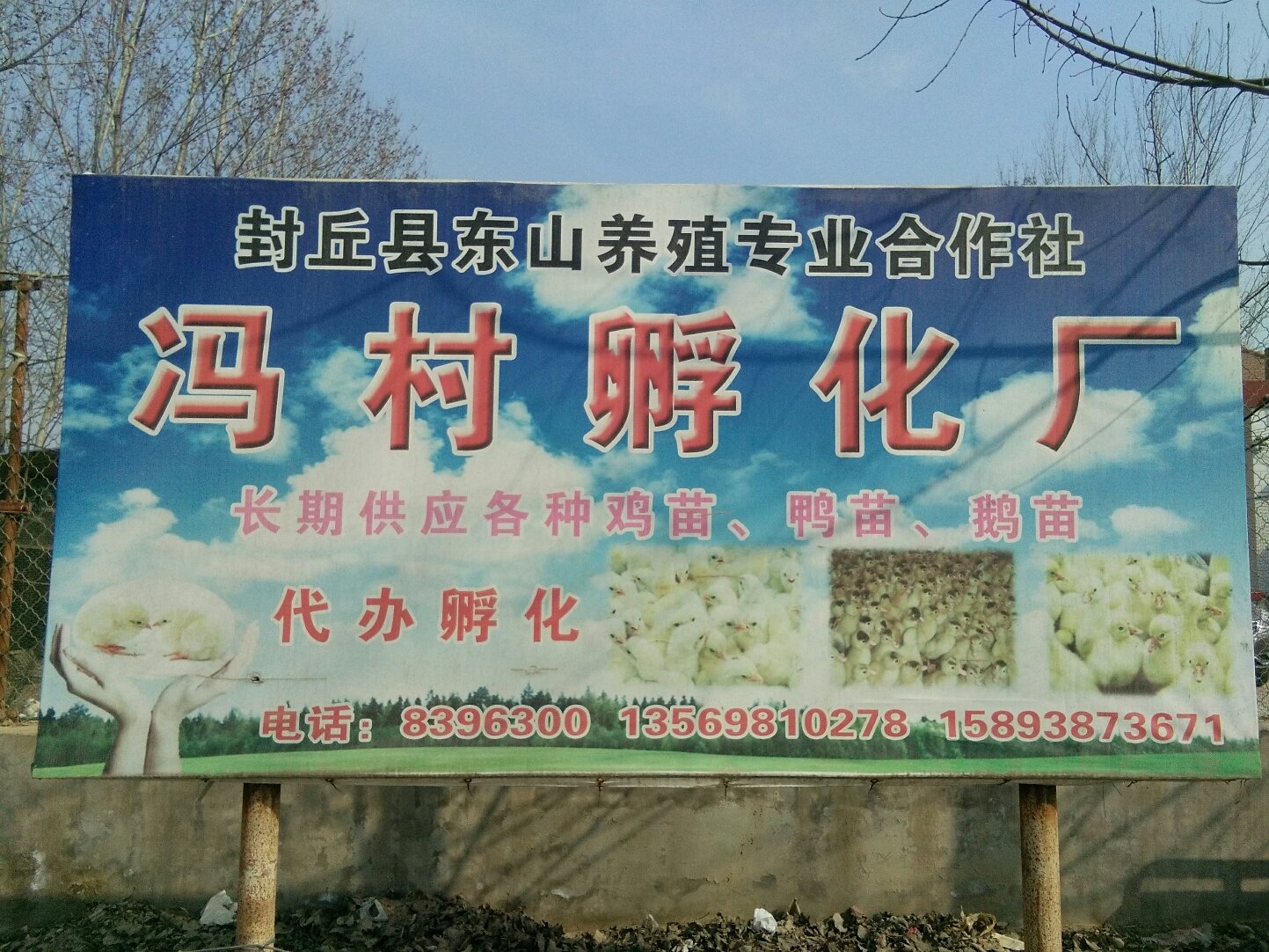 封丘天气预报(封丘一中十大美女)