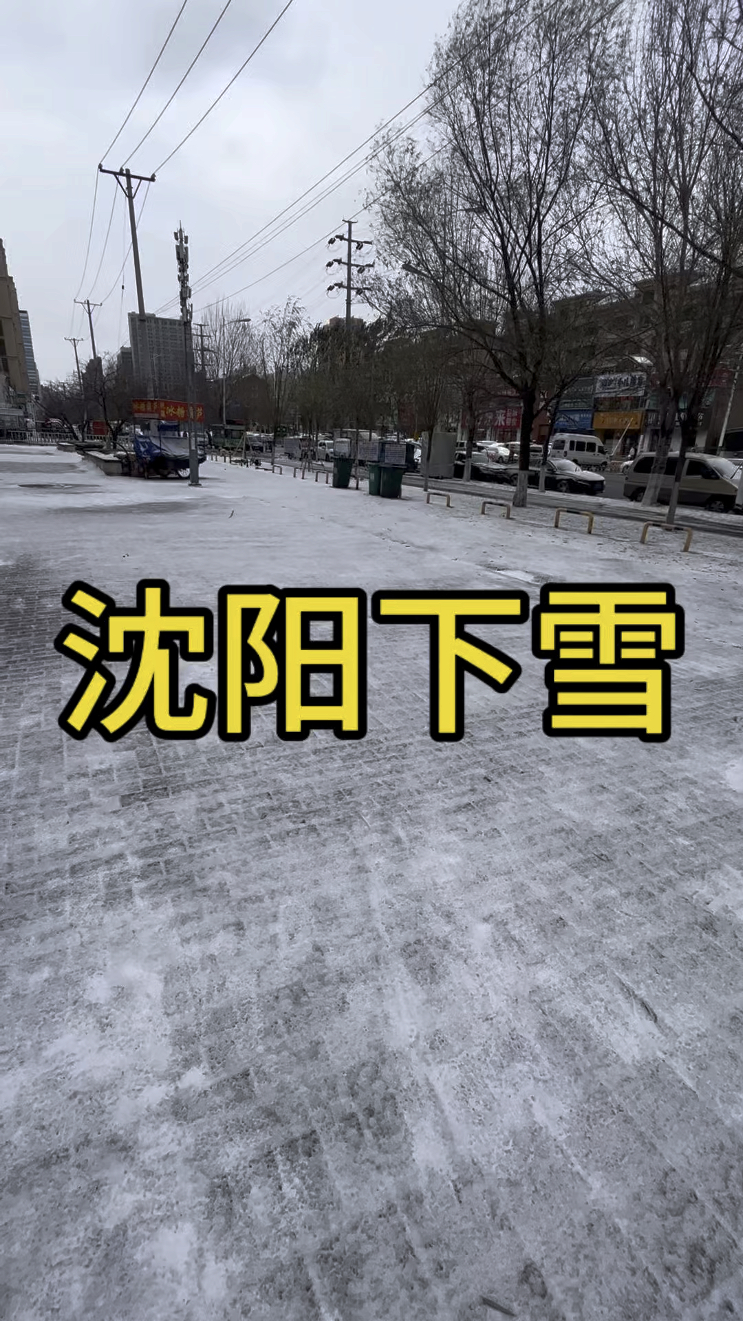 沈阳今日天气(辽宁沈阳天气24小时)