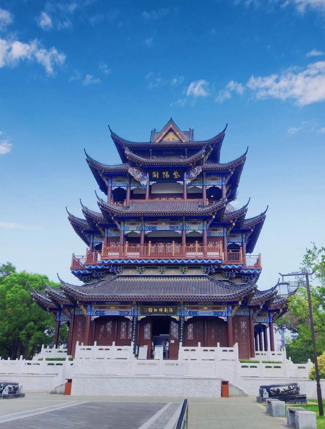紫阳(紫阳花の凋落免费观看)
