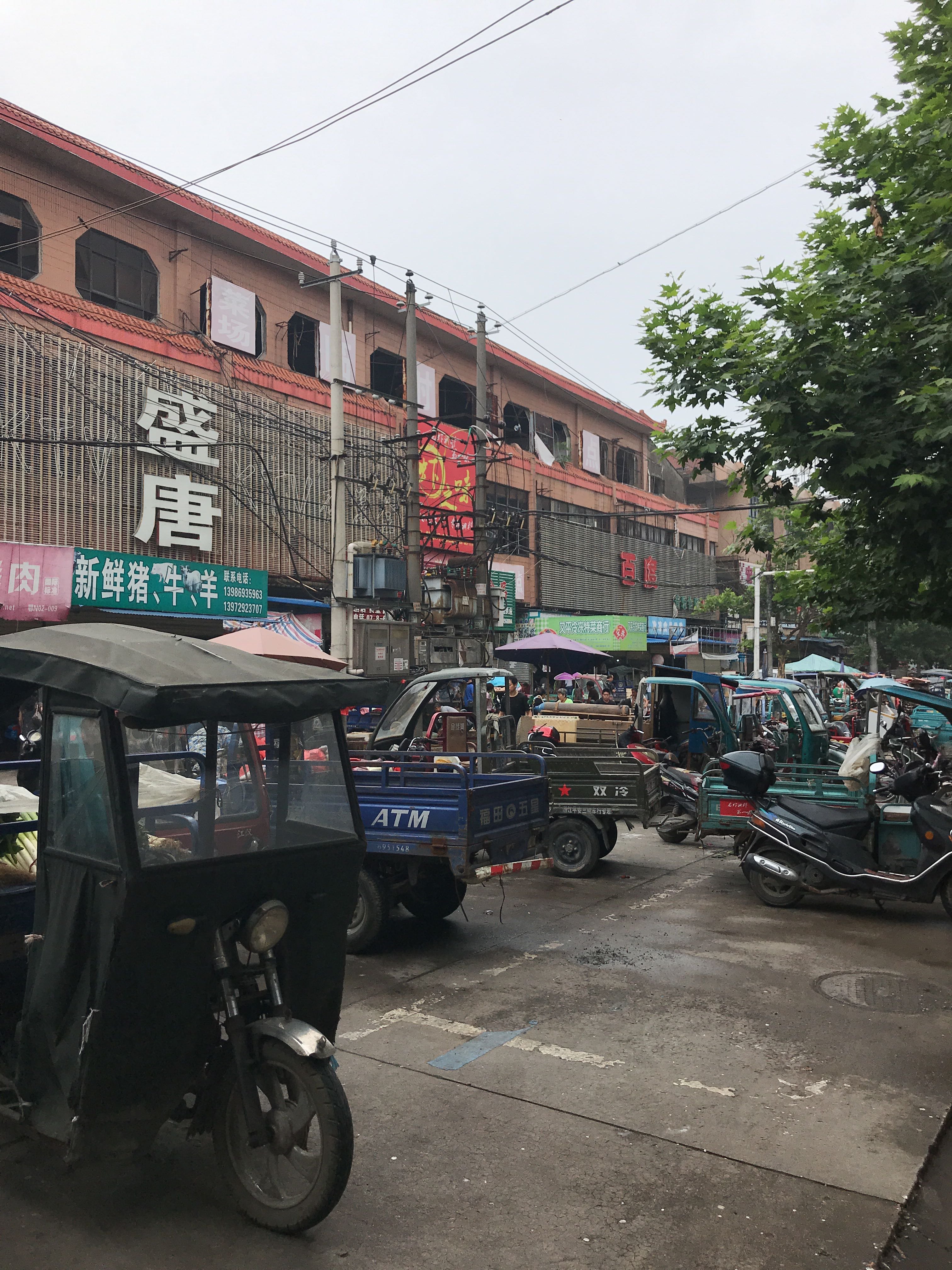 潜江天气预报(潜江天气预报24小时详情)