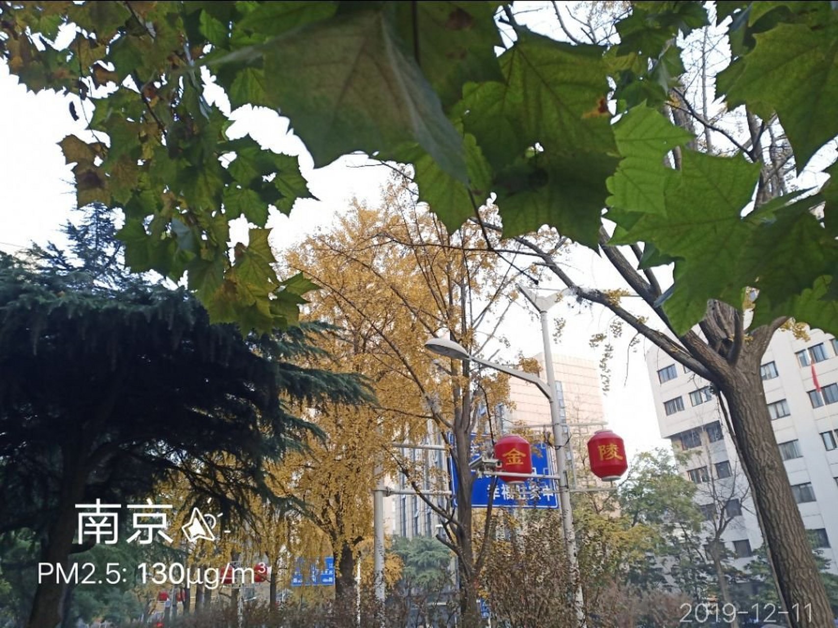 南京pm2.5(南京pm25最高是哪年)