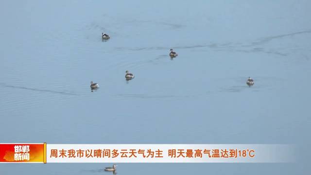 邯郸明天天气(邯郸天气预报30天查询结果)