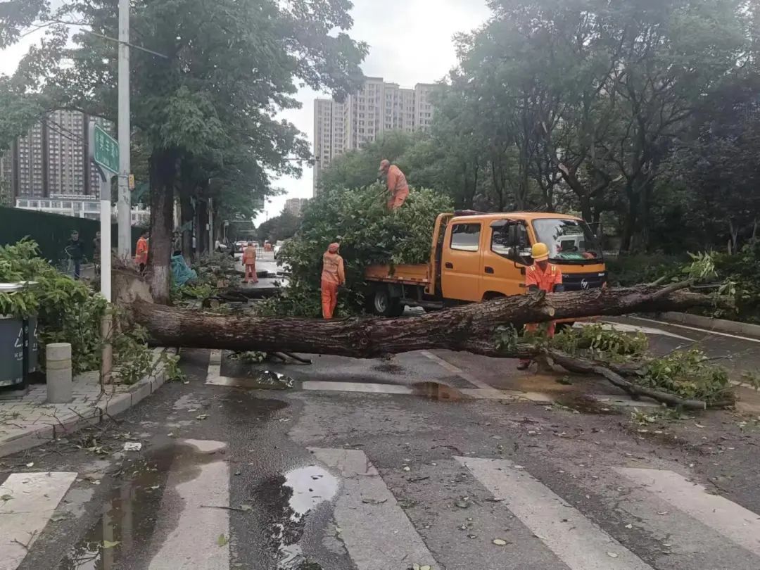 丰台天气(北京将迎来一场雨雪天气)
