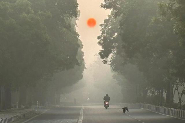 新德里天气(新德里天气预报一个月)
