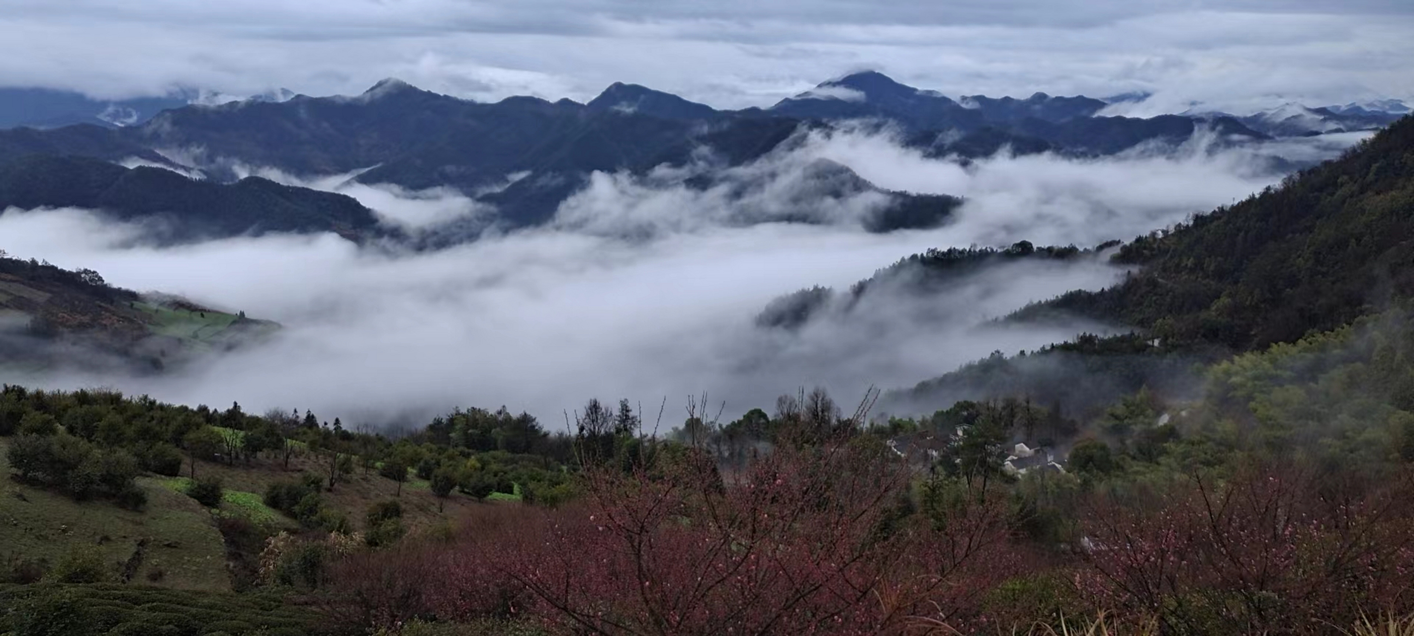歙县天气(歙县天气预报未来15天)