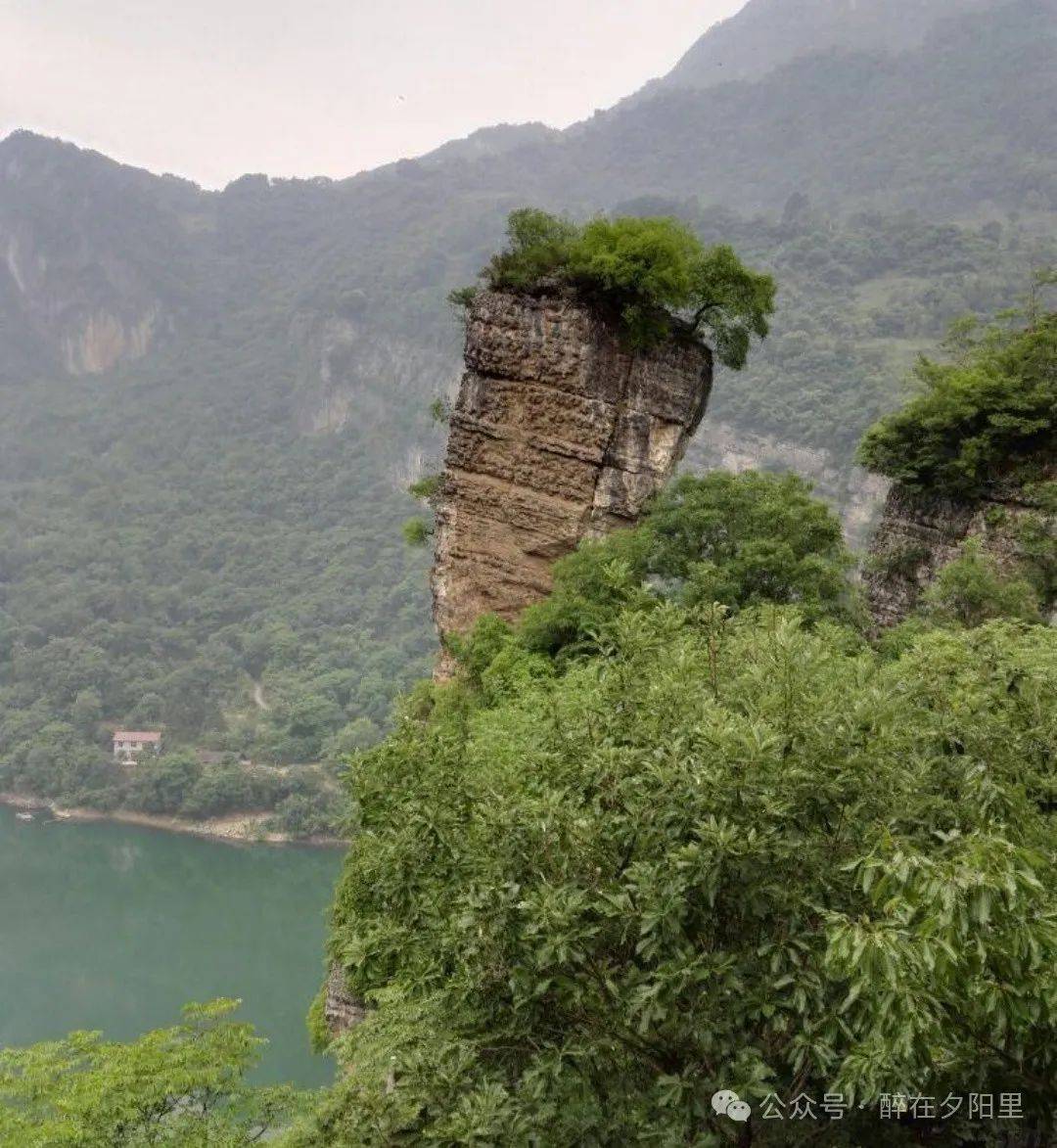 中国长阳(中国长阳网长阳公共资源)