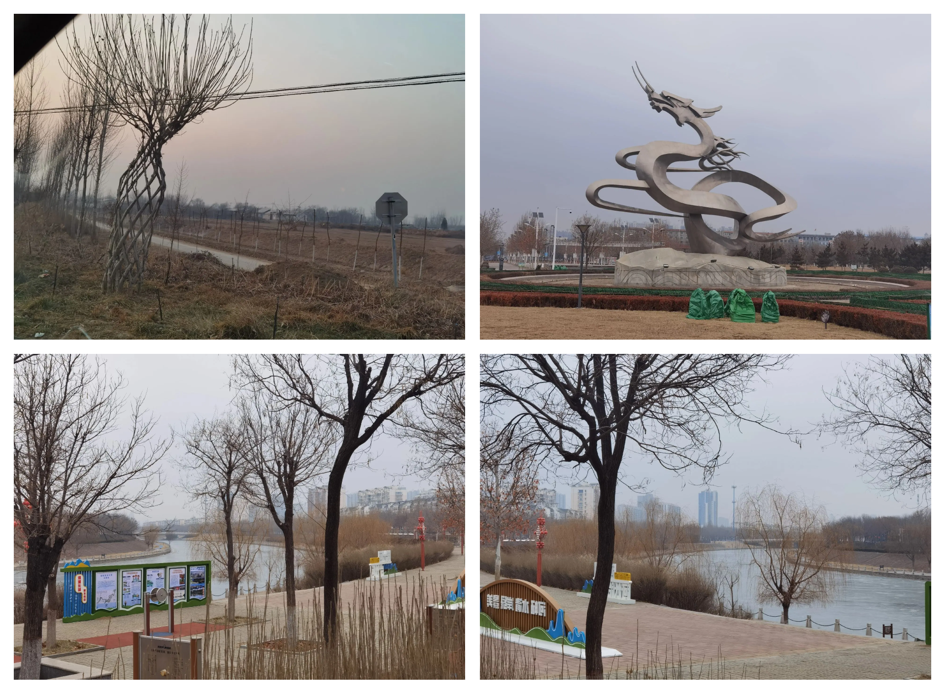 景县天气(景县天气预报30天查询结果)