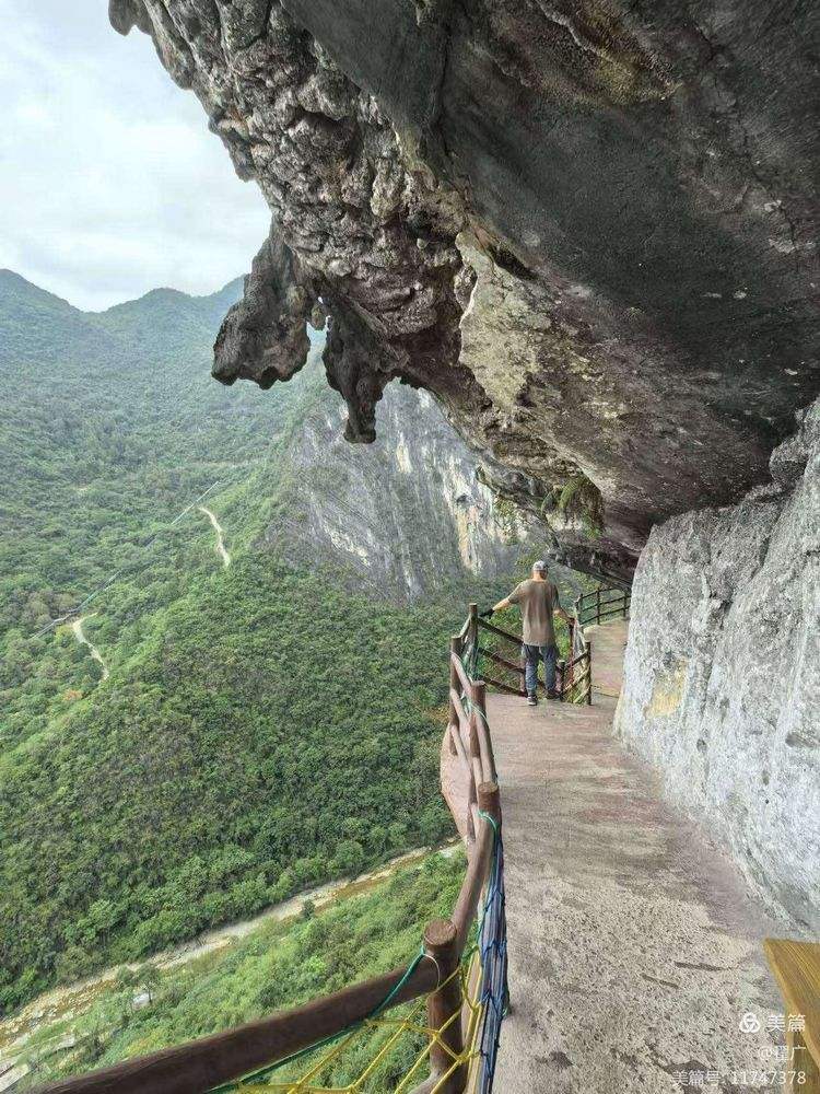 阳山(阳山水蜜桃)