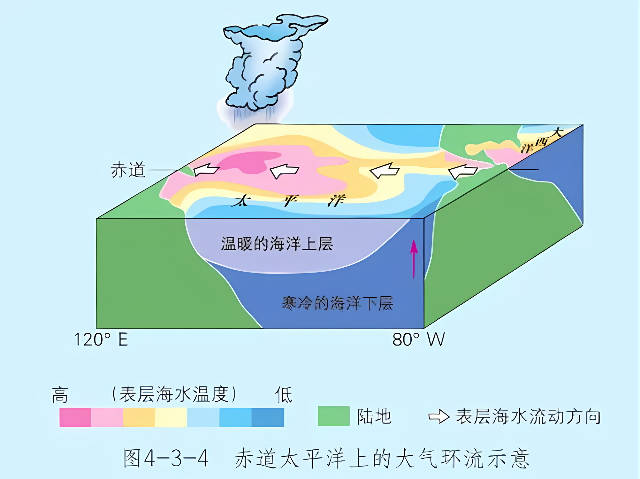 厄尔尼诺(厄尔尼诺青 小说)