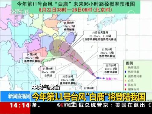 白鹿台风(白鹿台风几级)