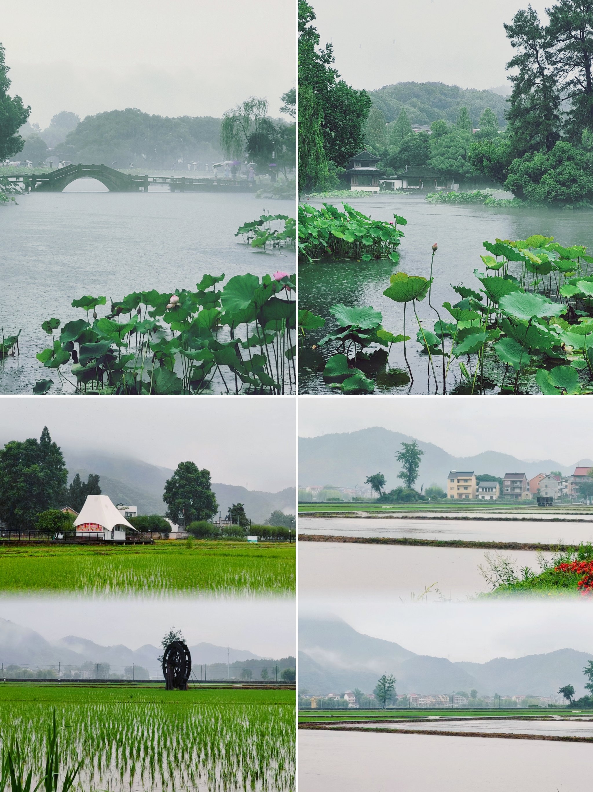 富春江天气(浙江杭州富春江天气预报)