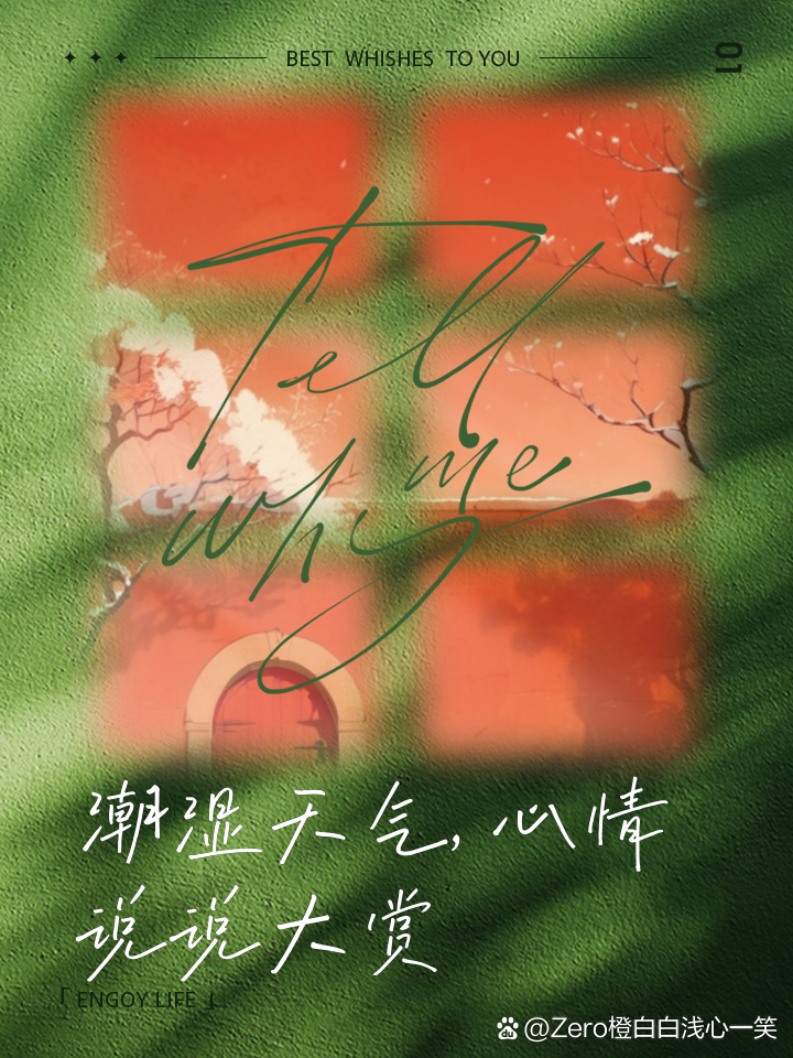 潮湿天气(潮湿天气拖地怎么快速干)