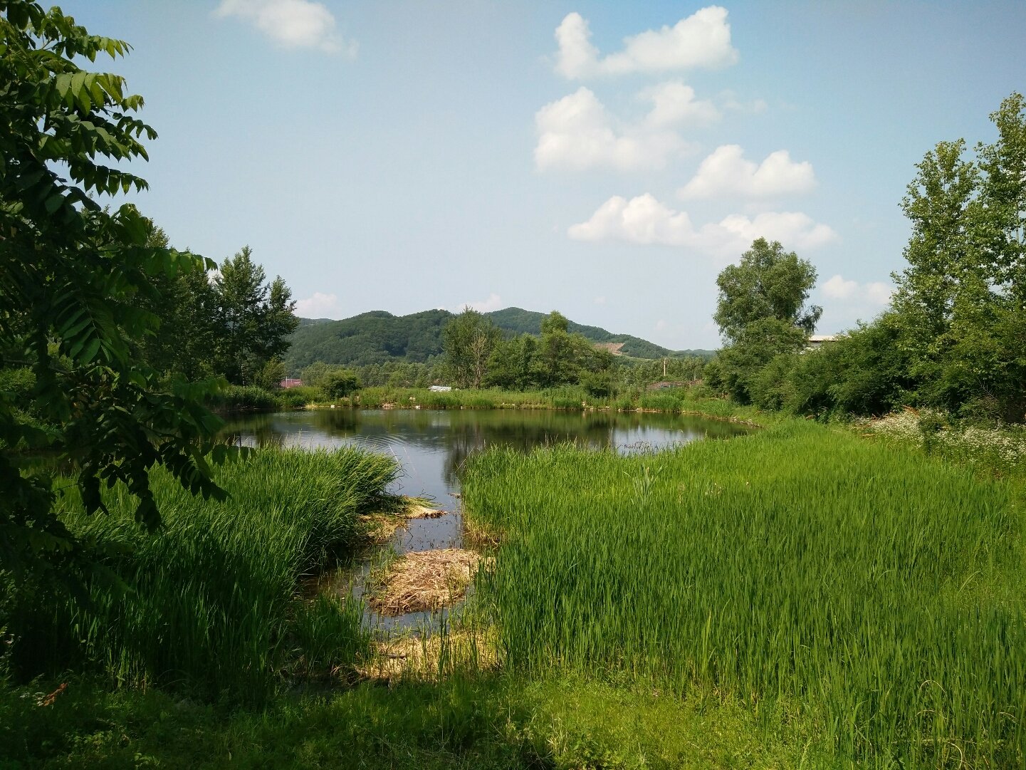 柳河天气2345(柳河天气各小时详情)