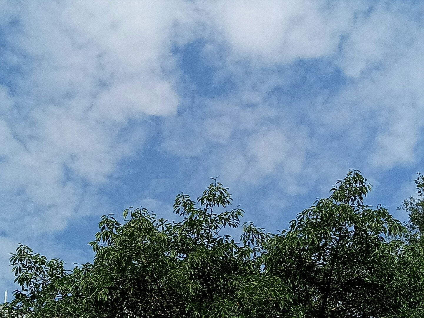 合江天气预报(合江未来30天天气)