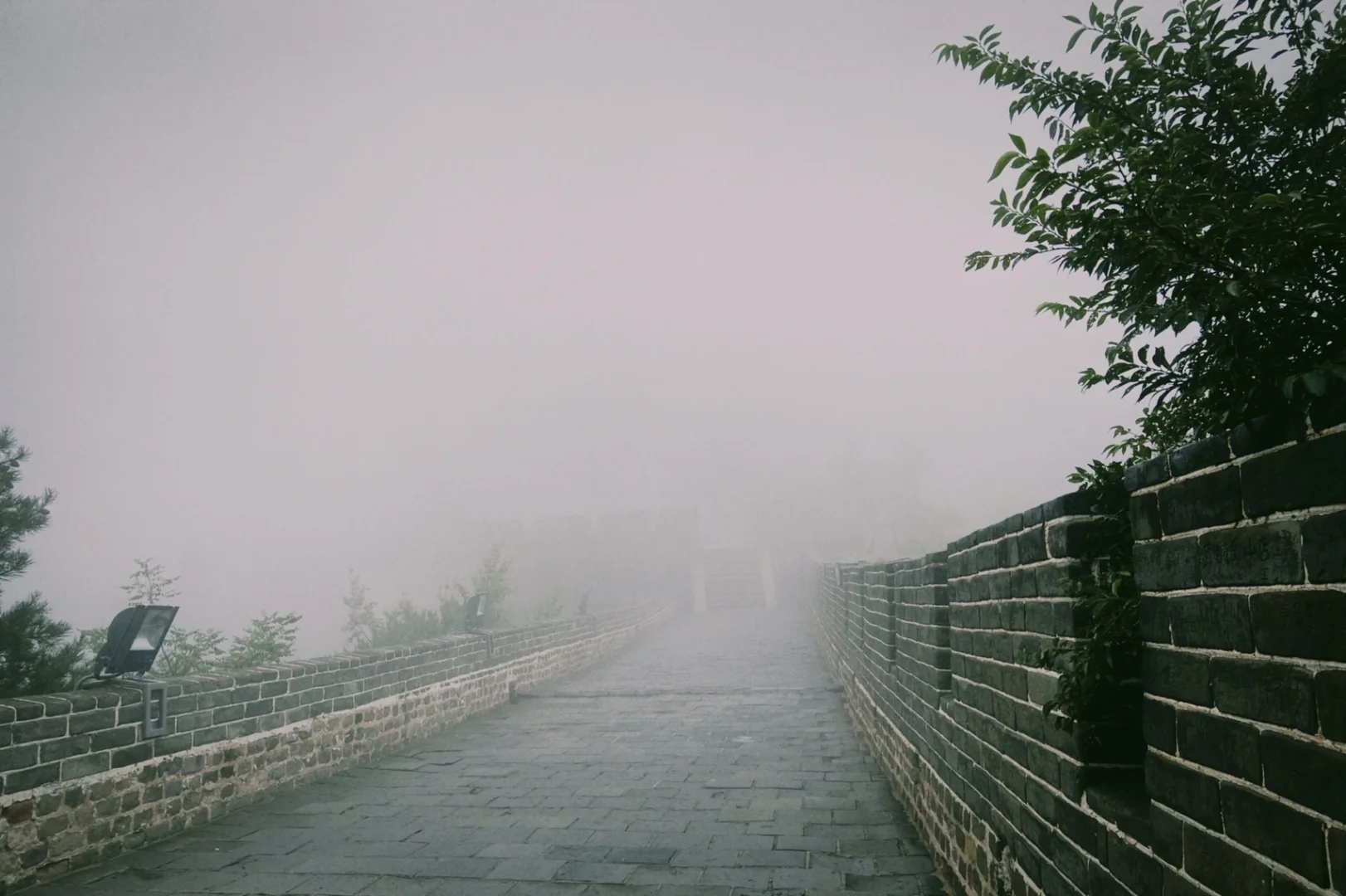 北京雨(北京雨根科技有限公司)