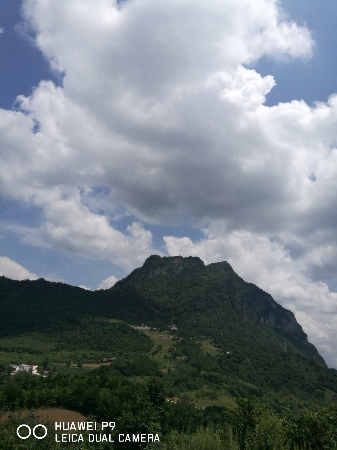 徽县天气预报(陇南徽县特大杀人案)