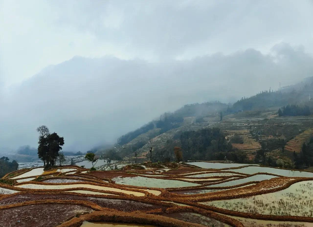 元阳天气(元阳梯田天气)