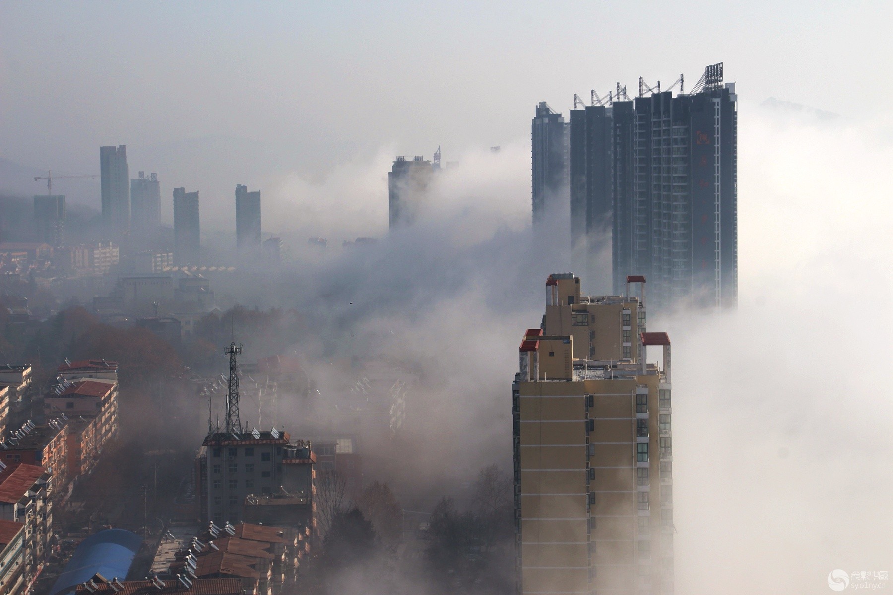 舞钢天气(舞钢天气预报一个月)