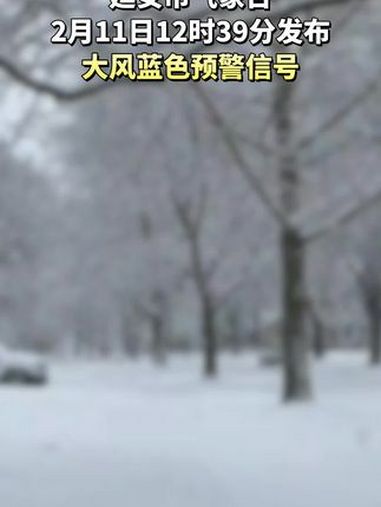 延安天气预警(延安未来15天天气预报)